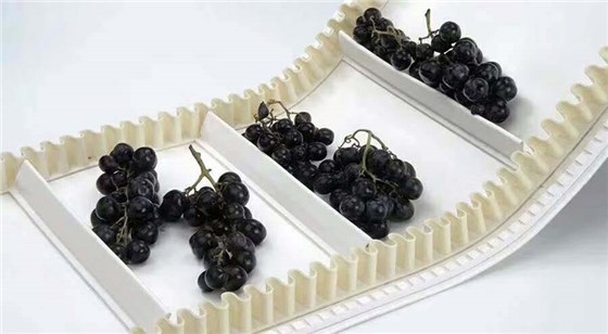 食品輸送帶：濟南安耐特種工業皮帶