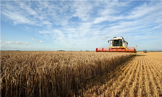 聯合收割機輸送帶