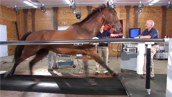 微信圖片_20230923100541