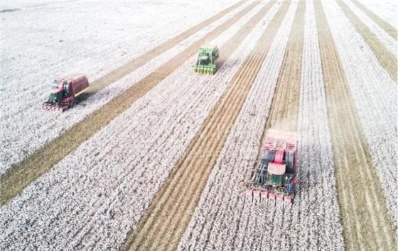 微信圖片_20231028142816