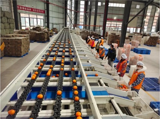 微信圖片_20231109170839