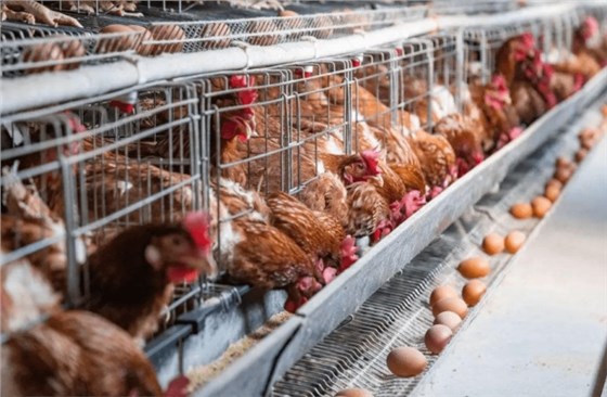 微信圖片_20231116152028