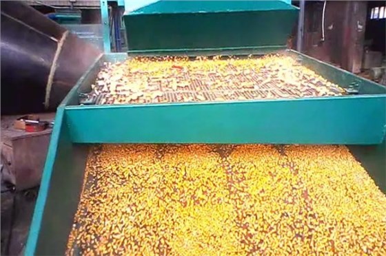 微信圖片_20231121115346