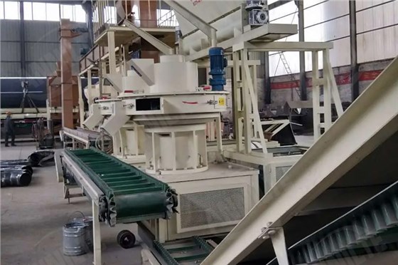 生物質(zhì)顆粒輸送帶8