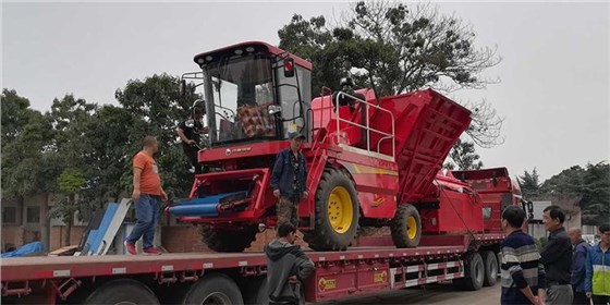 60d45c2ce0b84a68f894a55b17810806