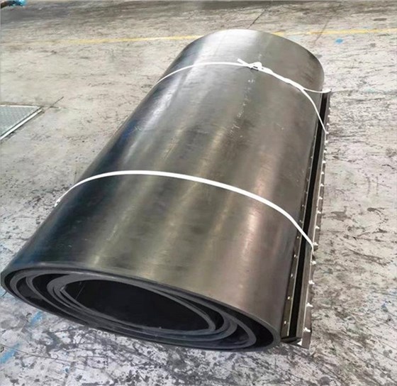 b_5300971202302200842042503_看圖王