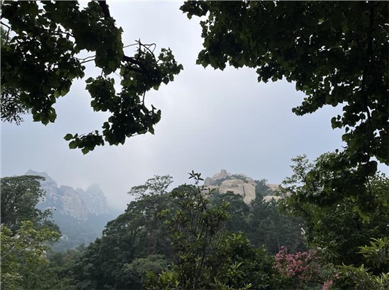 2024_08_31_09_50_IMG_0420_看圖王