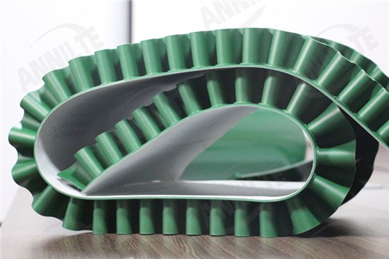 渦電流分選機(jī)皮帶