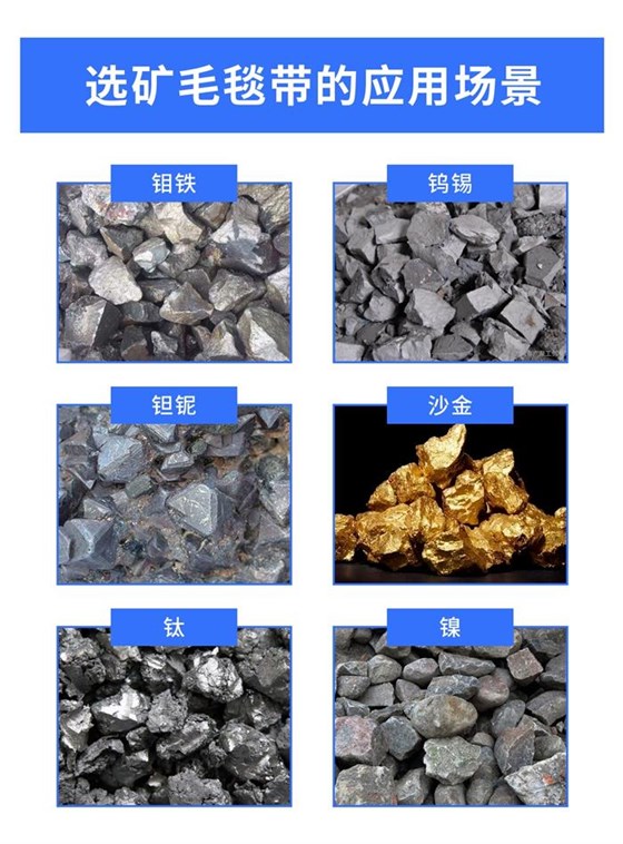 選礦毛毯帶0924-2