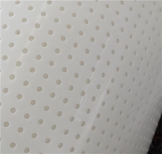 雞糞烘干輸送帶2