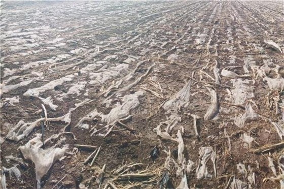 土壤污染防控計(jì)劃-3