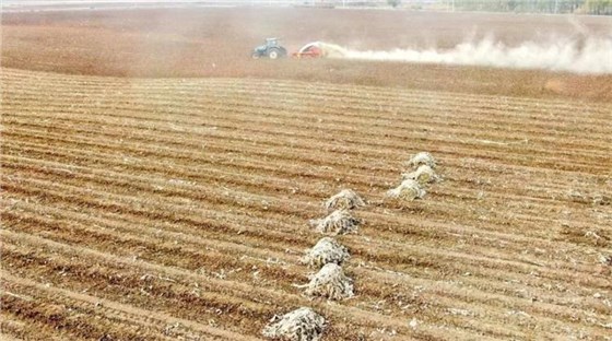 土壤污染防控計(jì)劃-9