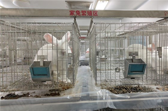 清糞帶制藥廠-1