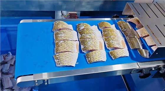 切魚機皮帶0702-5