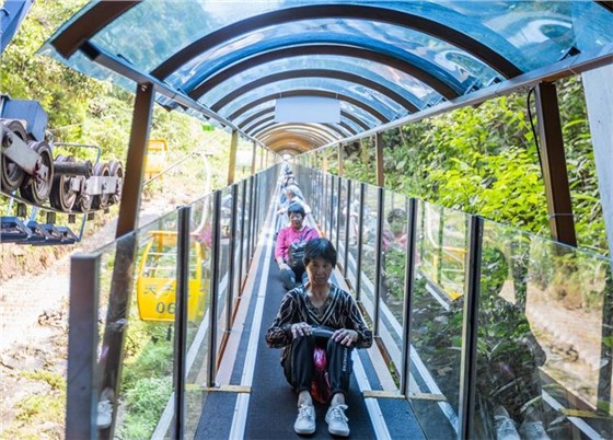 暑期經(jīng)濟-6