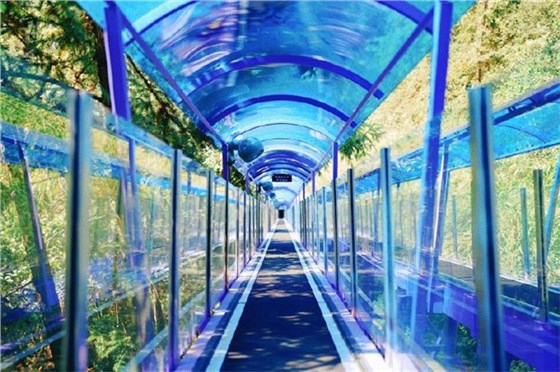 暑期經(jīng)濟-11