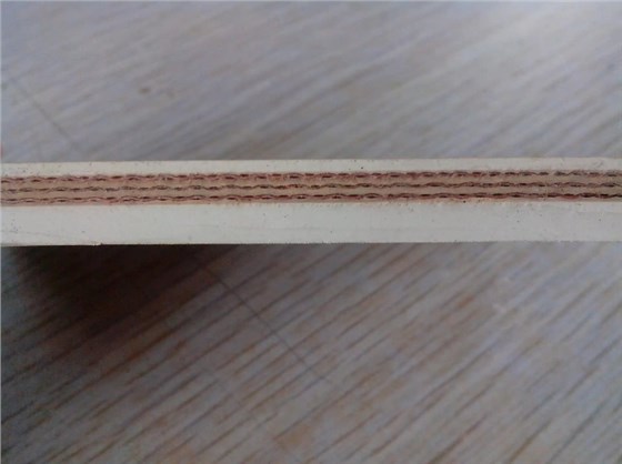 白色橡膠輸送帶0911-5