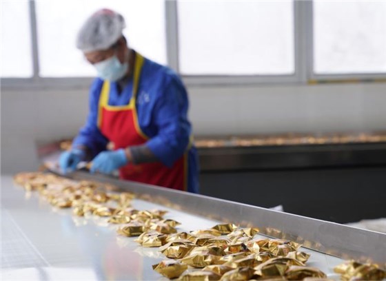 食品輸送帶0924-4