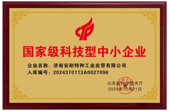 國(guó)家級(jí)科技型中小企業(yè)-1