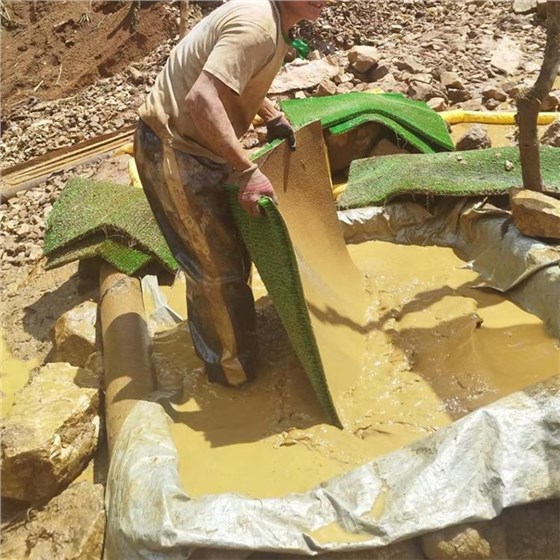 淘金草輸送帶1018-3