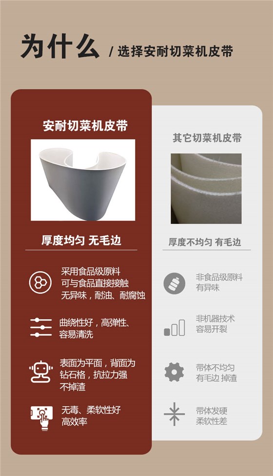 切菜機輸送帶-濟南安耐皮帶