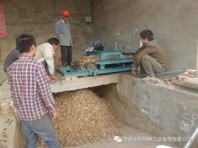 家禽養殖輸送帶 (1)