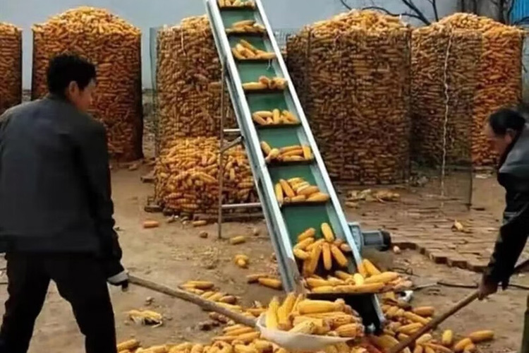 裙邊擋板帶安裝案例 裙邊擋板帶安裝案例