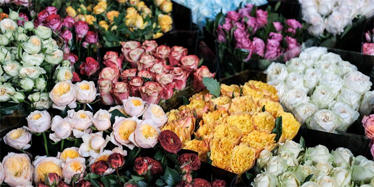 E9AE49B6F05497E0CE804F1C117C82A9