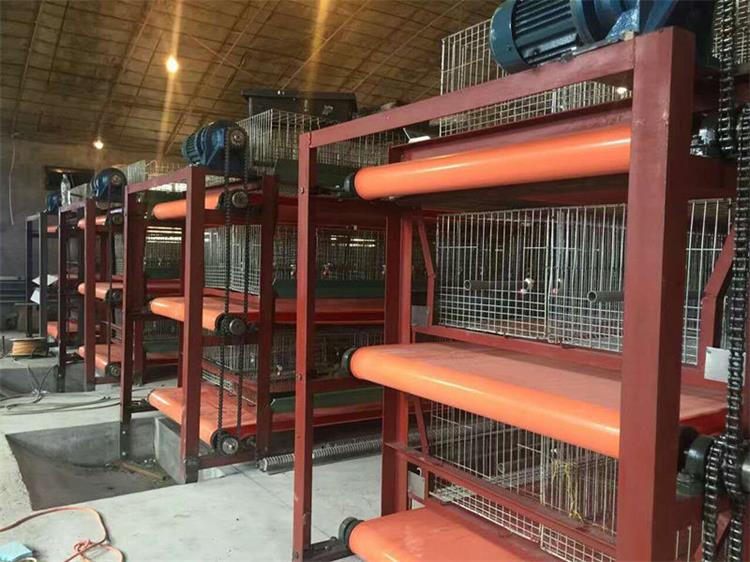 兔舍清糞帶0927-5