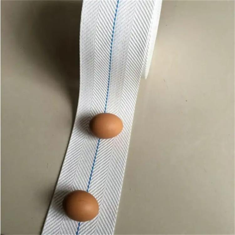 打孔撿蛋帶0219-3