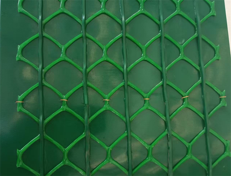 噴砂機輸送帶0625-3