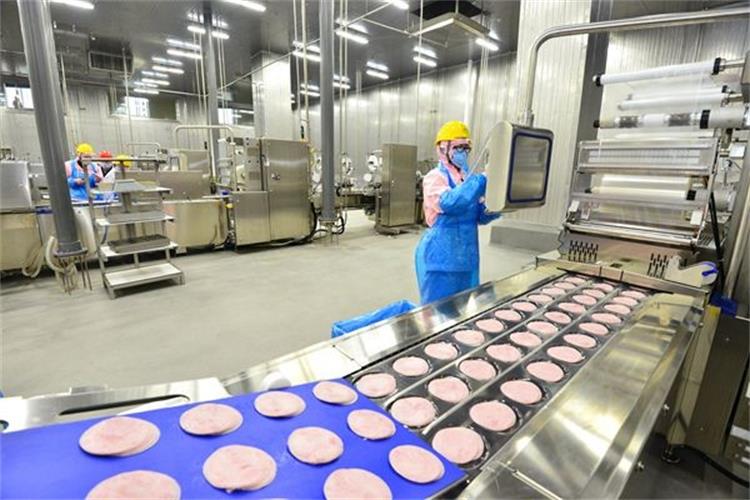 切片分份機皮帶0628-2