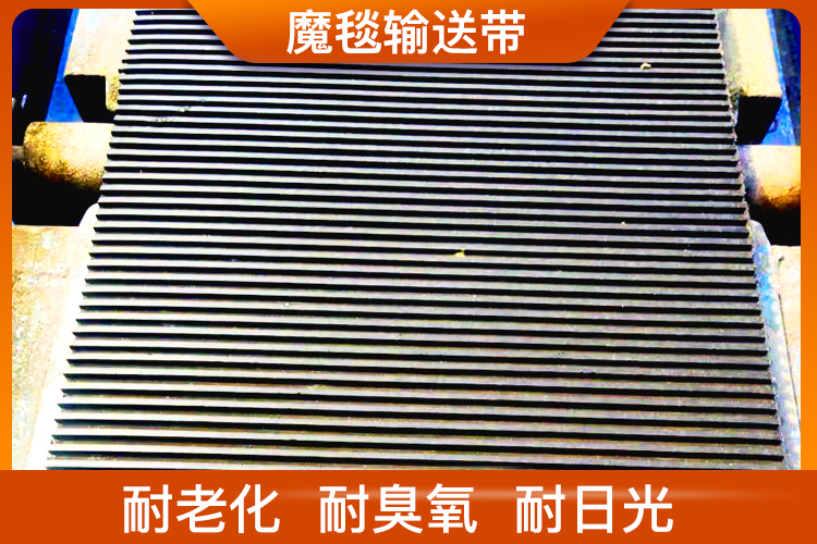 魔毯輸送帶 魔毯輸送帶