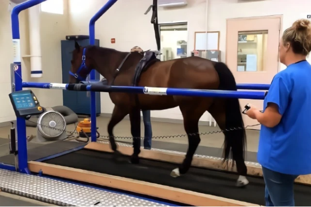 微信圖片_20231121095247