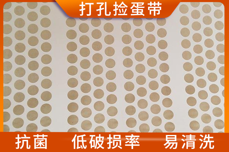 打孔撿蛋帶 打孔撿蛋帶