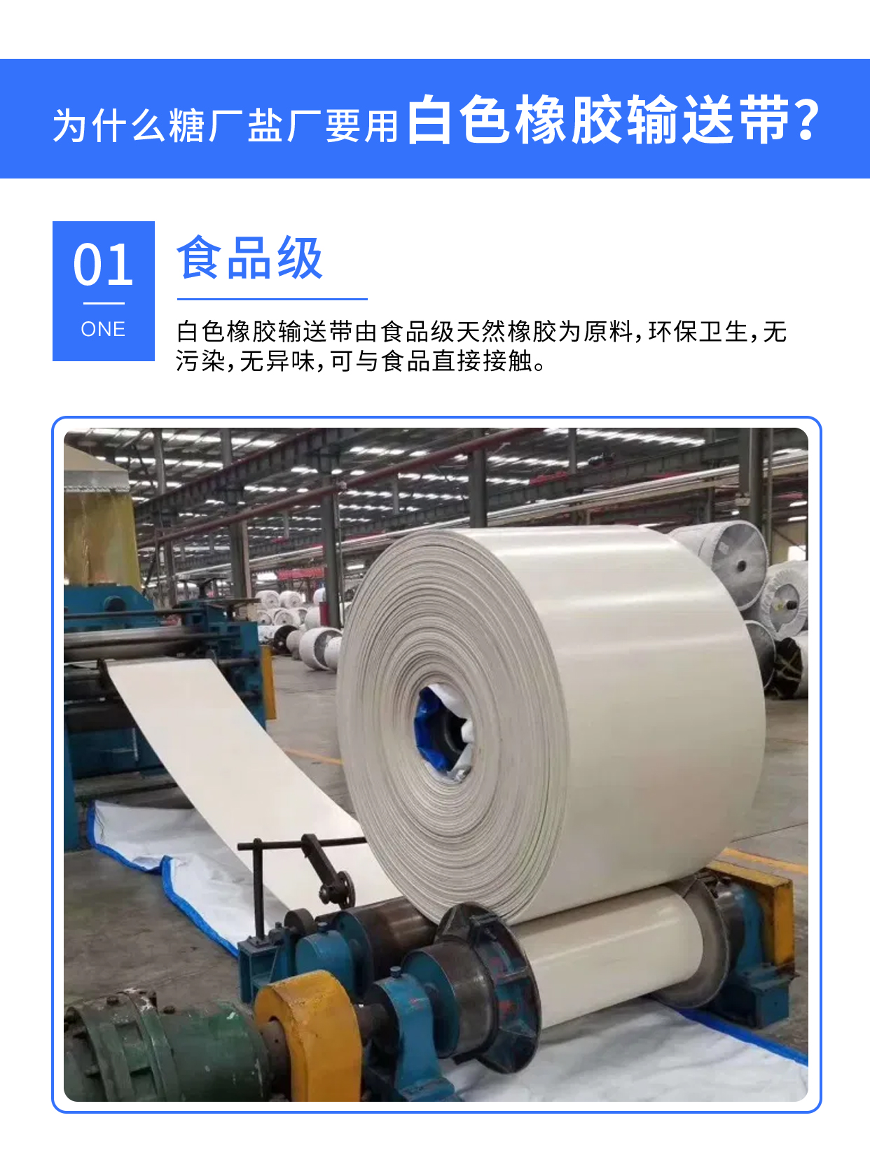 鹽場使用的白色橡膠輸送帶