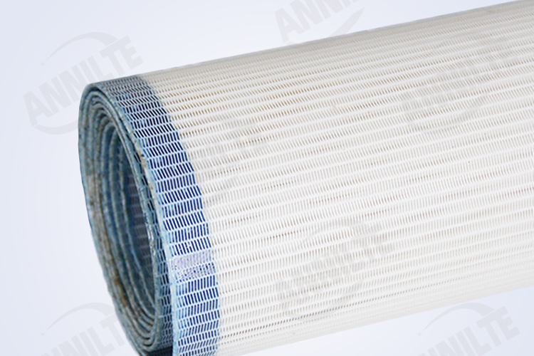 聚酯網(wǎng)帶2