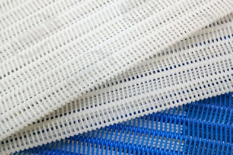 聚酯網(wǎng)帶4