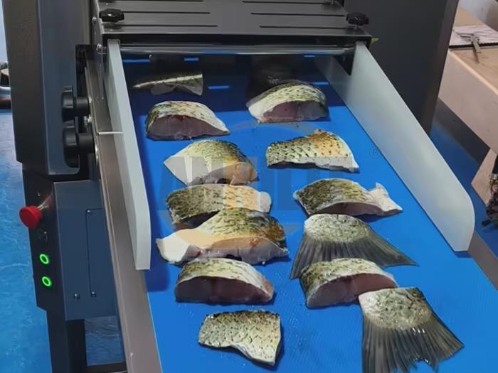 切魚機皮帶 切魚機皮帶