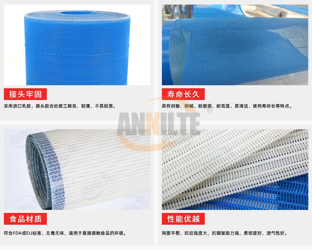 聚酯網(wǎng)帶1_01